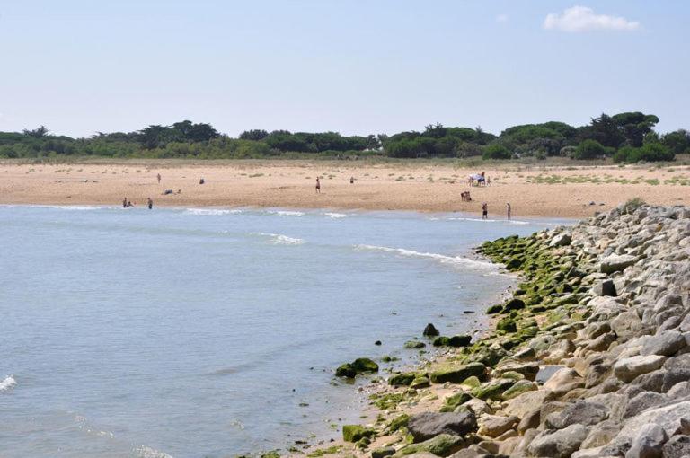 A 80M De La Plage De Plaisance Pour 8 Personnes Villa Saint-Georges-d'Oleron Exteriör bild